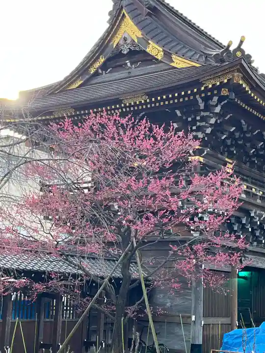 西新井大師総持寺の{uncategorized: "未分類", other: "その他", undefined: "問題あり", building: "その他建物", grave: "お墓", sacred_gate: "鳥居", guardian: "狛犬", statue: "像", buddha: "仏像", history: "歴史", nature: "自然", garden: "庭園", animal: "動物", pagoda: "塔", temizu: "手水舎", mountain_gate: "山門・神門", sanctuary: "本殿・本堂", subordinate: "末社・摂社", art: "芸術", scenery: "景色", jizo: "地蔵", ema: "絵馬", goshuin: "御朱印", omikuji: "おみくじ", items: "授与品その他", amulet: "お守り", goshuincho: "御朱印帳", eats: "食事", festival: "お祭り", votive_dance: "神楽", shichigosan: "七五三参", wedding: "結婚式", experience: "体験その他", initially: "初詣", around: "周辺", anti_infection: "感染症対策"}
