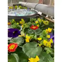 犀川神社の手水舎