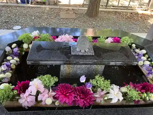 新琴似神社の手水