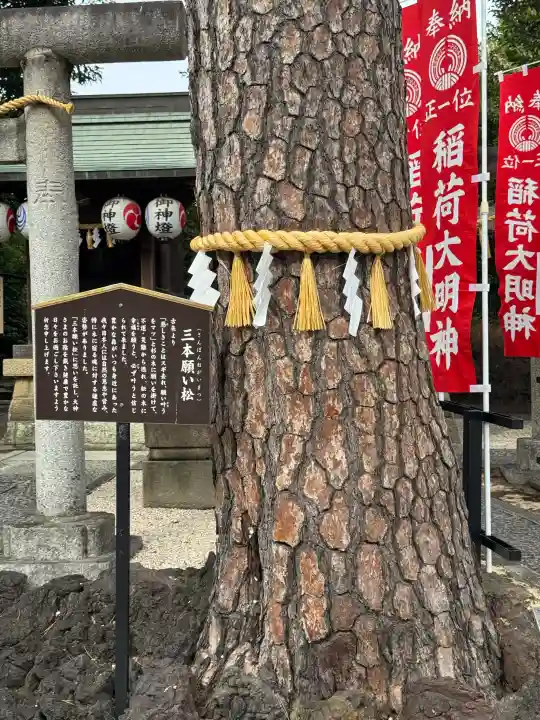 中野沼袋氷川神社の{uncategorized: "未分類", other: "その他", undefined: "問題あり", building: "その他建物", grave: "お墓", sacred_gate: "鳥居", guardian: "狛犬", statue: "像", buddha: "仏像", history: "歴史", nature: "自然", garden: "庭園", animal: "動物", pagoda: "塔", temizu: "手水舎", mountain_gate: "山門・神門", sanctuary: "本殿・本堂", subordinate: "末社・摂社", art: "芸術", scenery: "景色", jizo: "地蔵", ema: "絵馬", goshuin: "御朱印", omikuji: "おみくじ", items: "授与品その他", amulet: "お守り", goshuincho: "御朱印帳", eats: "食事", festival: "お祭り", votive_dance: "神楽", shichigosan: "七五三参", wedding: "結婚式", experience: "体験その他", initially: "初詣", around: "周辺", anti_infection: "感染症対策"}