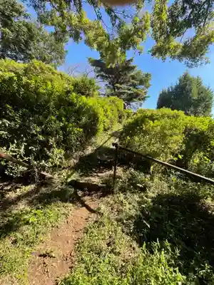 武州白子熊野神社の周辺