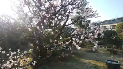 塩満寺のその他建物