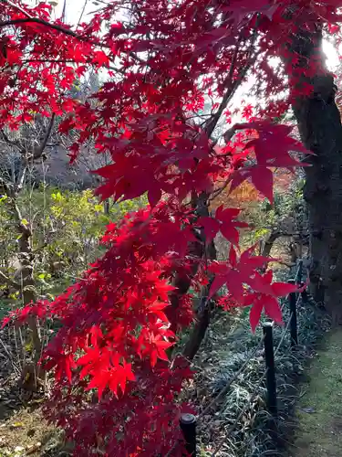 本土寺(千葉県)