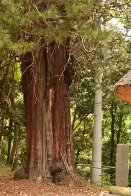 西明寺(栃木県)