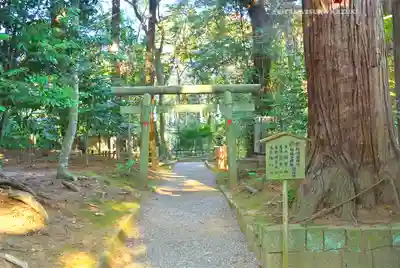 鹿島神宮(茨城県)