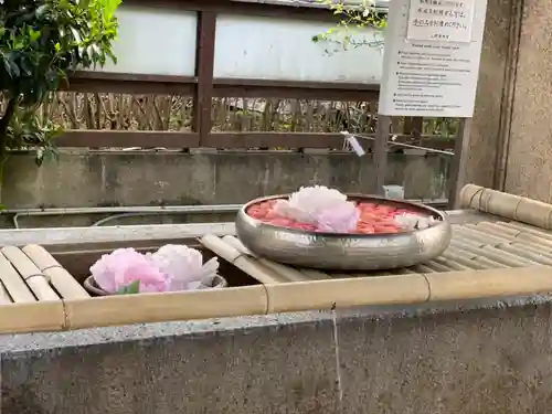 上野東照宮の手水舎