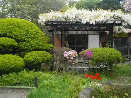 極楽寺（霊鷲山感應院極楽律寺）の庭園