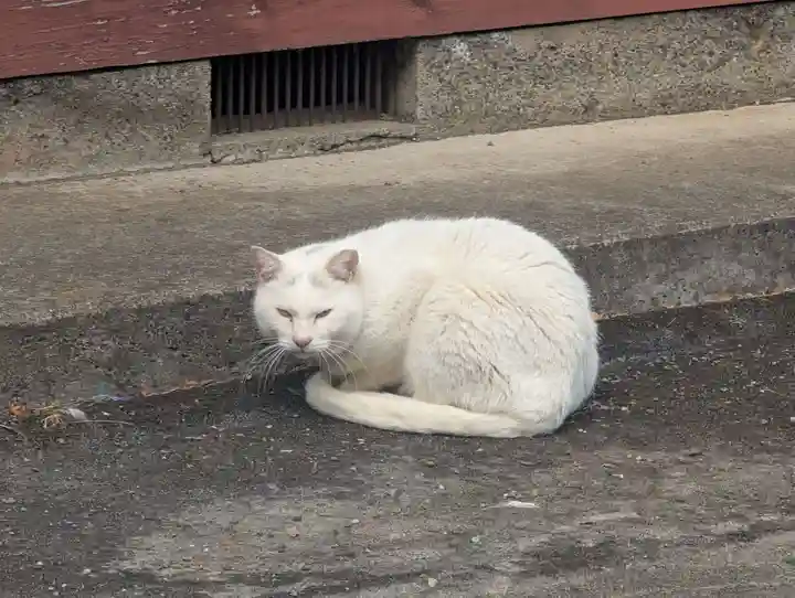 神明社(神奈川県)