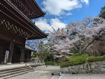 知恩院(京都府)