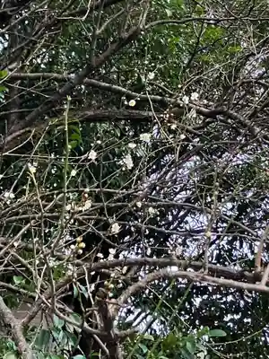 大山祇神社(福岡県)