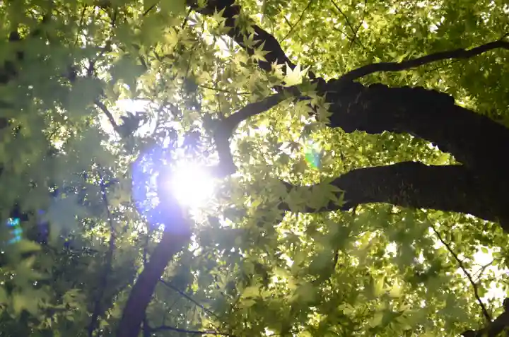 祇王寺(京都府)