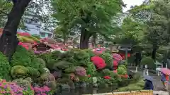 根津神社(東京都)