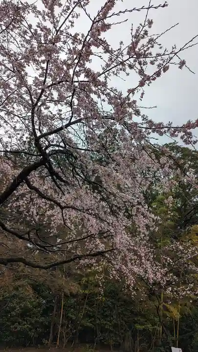 正法寺(京都府)