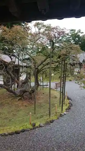 瑞巌寺の庭園