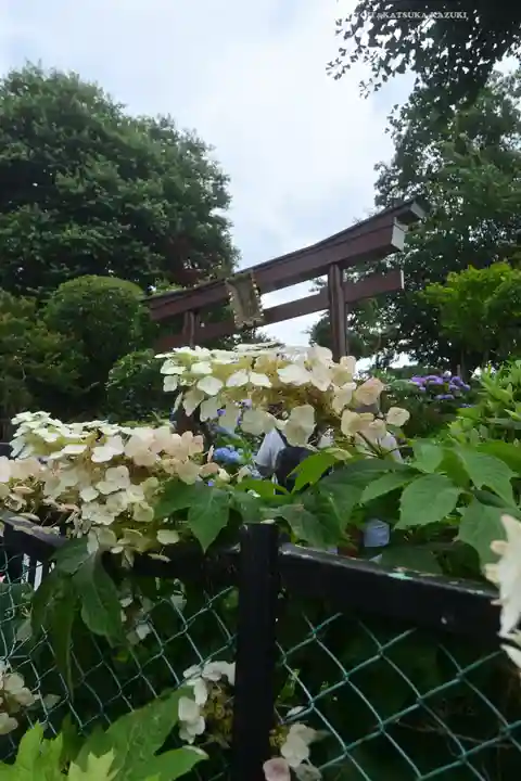 白山神社(東京都)