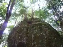 丹倉神社の建物その他