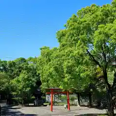 伏見稲荷大明神の鳥居