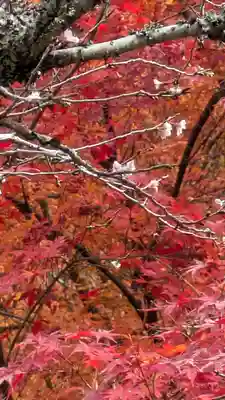 出世稲荷神社(京都府)