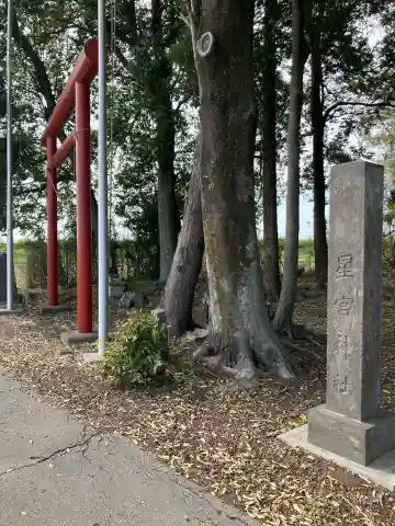五分一星宮神社(栃木県)
