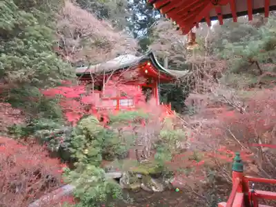 毘沙門堂門跡(京都府)