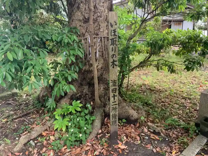 十二所大権現の自然