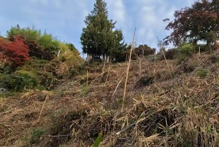 差出磯大嶽山神社 仕事と健康と厄よけの神さま(山梨県)