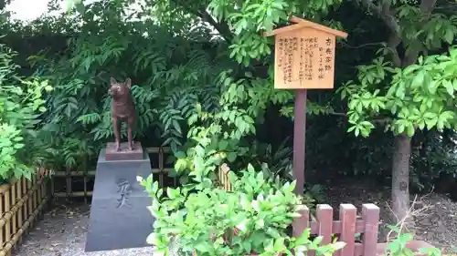 蔵前神社の狛犬