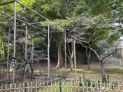 西明寺(滋賀県)