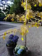 星川杉山神社のお祭り