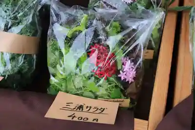 開成山大神宮の体験その他