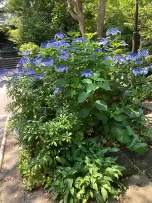 宮山神社(神奈川県)