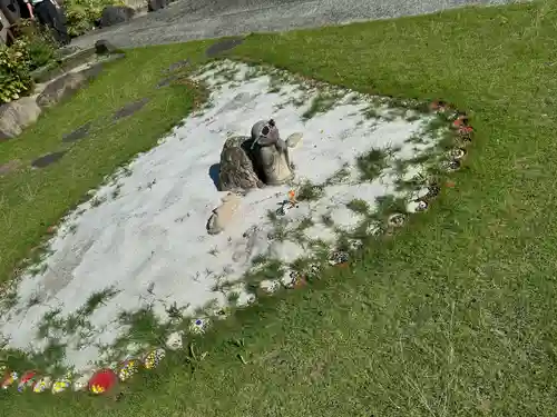 四季桜の寺 妙乗院(愛知県)