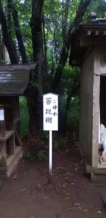 大宝八幡宮の自然