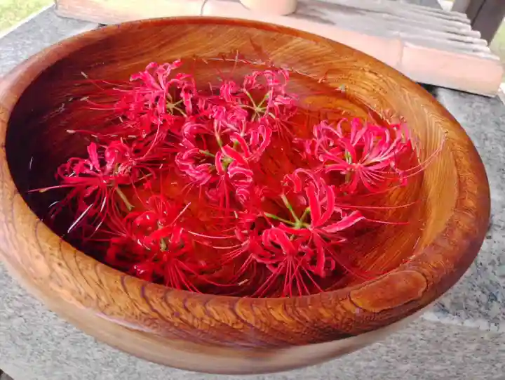 横浜 西方寺の手水舎