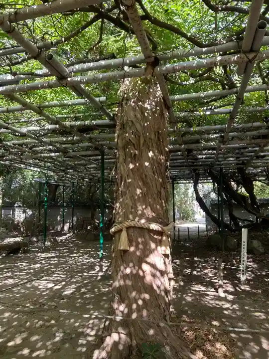 住吉神社(兵庫県)
