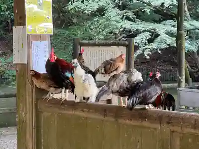 石上神宮(奈良県)