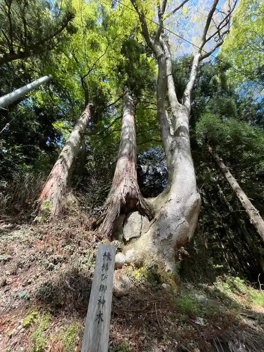 木幡山隠津島神社(二本松市)の自然
