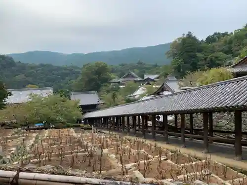 長谷寺の庭園