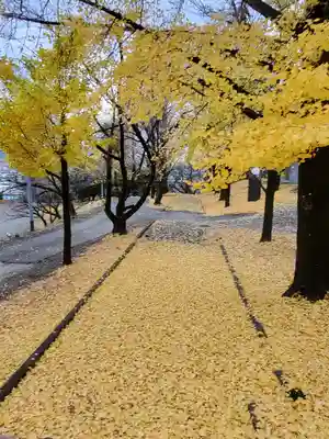 嘉多山稲荷の自然