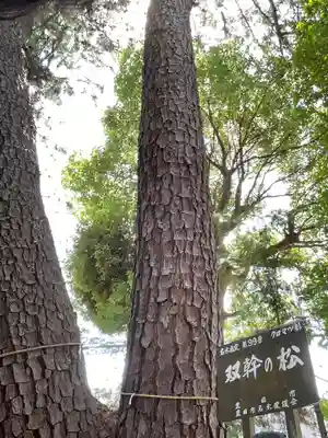 寿恵野神社(愛知県)