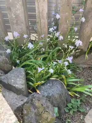 英稲荷神社(東京都)