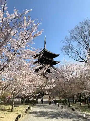 東寺（教王護国寺）の景色