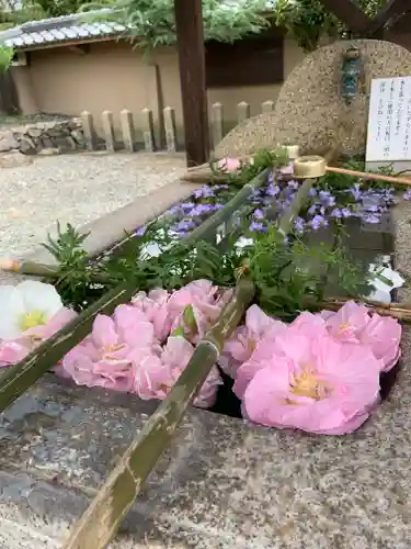 貴布禰神社の手水舎