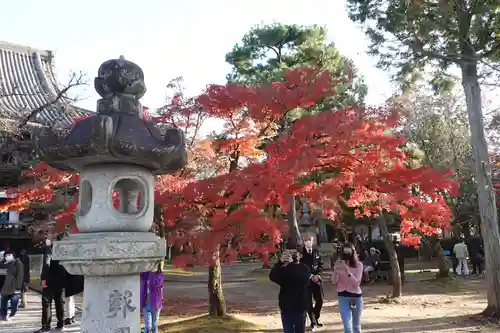 真正極楽寺（真如堂）(京都府)