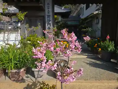 毘沙門寺(和歌山県)