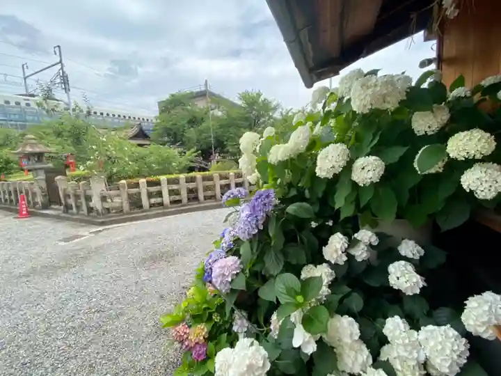 六孫王神社の自然