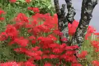 国宝 大法寺の自然