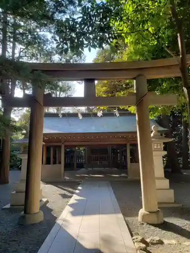 國學院大學神殿の鳥居