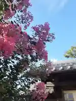 西方山極楽寺(岐阜県)