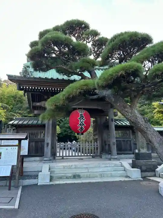 長谷寺の山門・神門